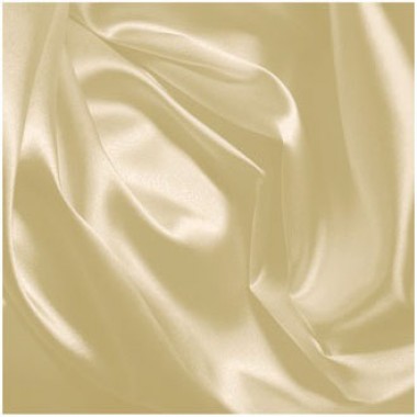 Silky Satin Swatch Barrie